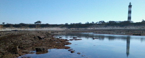 Marée basse à Chassiron pour la pêche à pied.